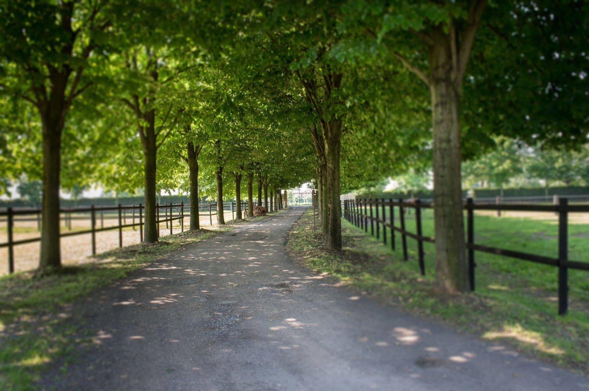 San Giacomo Horses & Agriturismo Arluno Kültér fotó