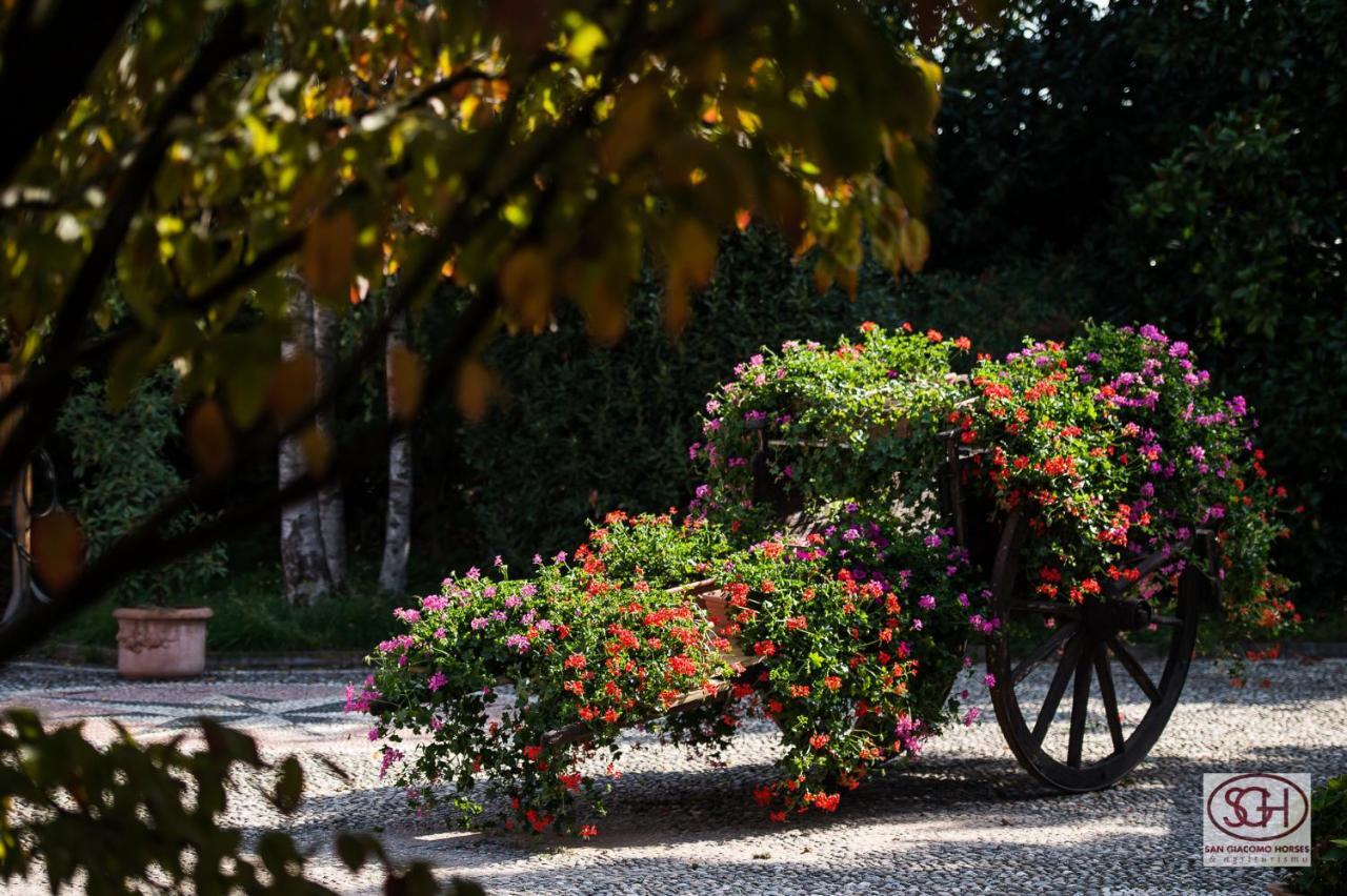 San Giacomo Horses & Agriturismo Arluno Kültér fotó
